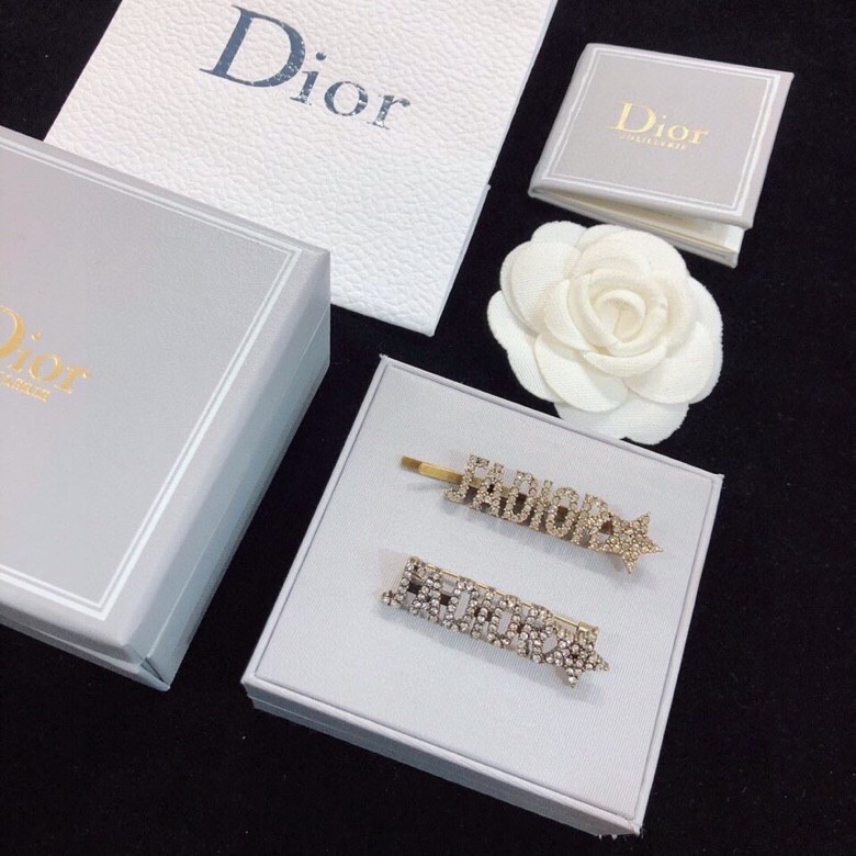 Christian Dior Brooches